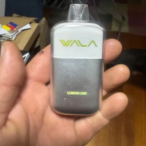 wala-pop-3149-review-bf1cd