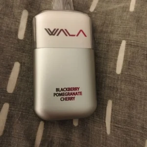 wala-pop-butler-review-71b43