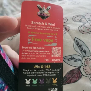 wala-yo-morayfield-review-39d9c