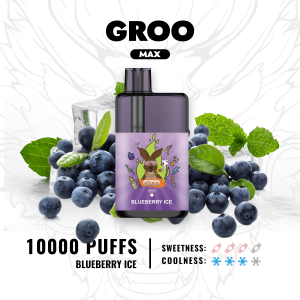 GROO MAX - Blueberry Ice - Image 2
